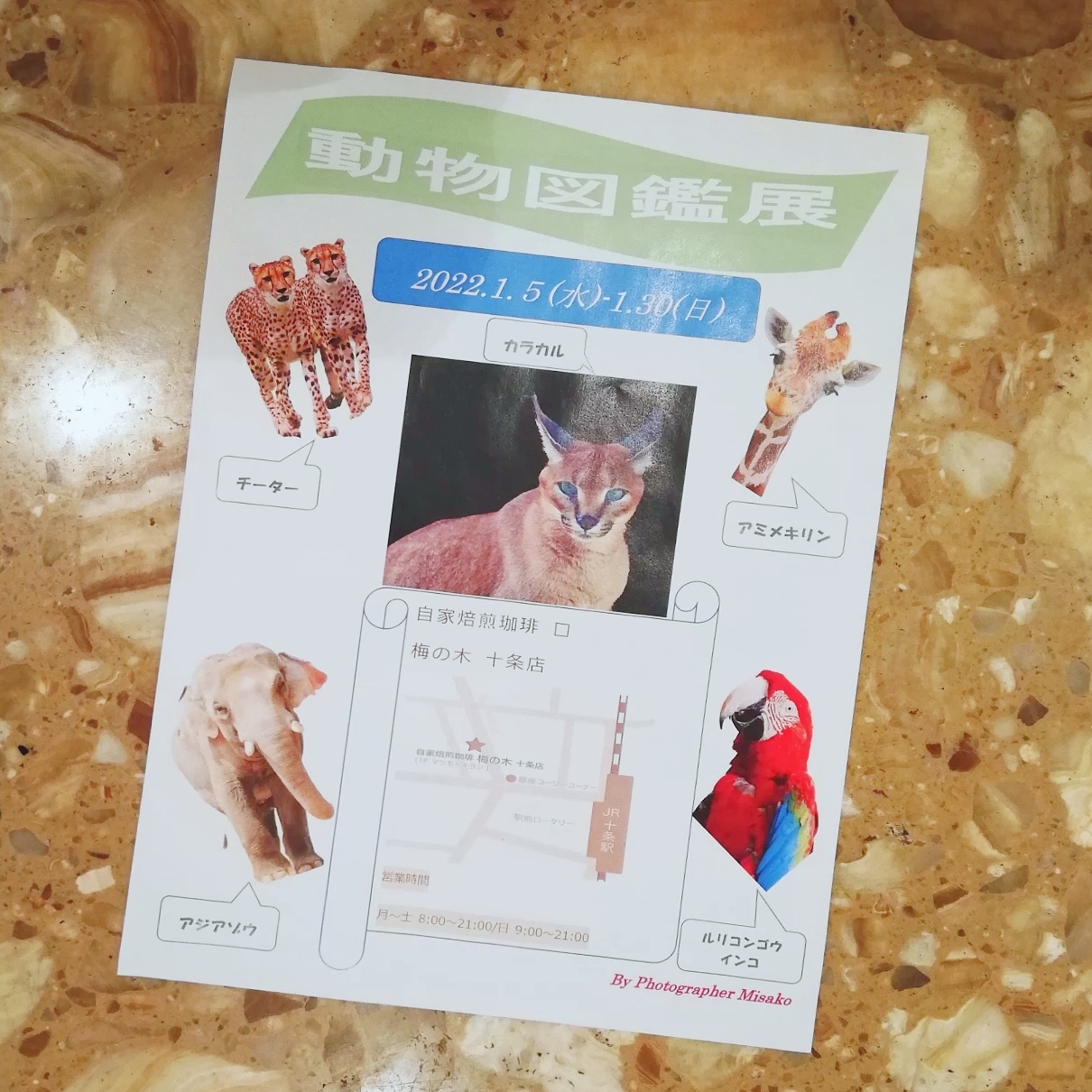 動物図鑑店